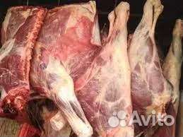 Мясо говядины