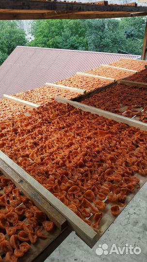 Продаётся сушёный абрикос (курага)