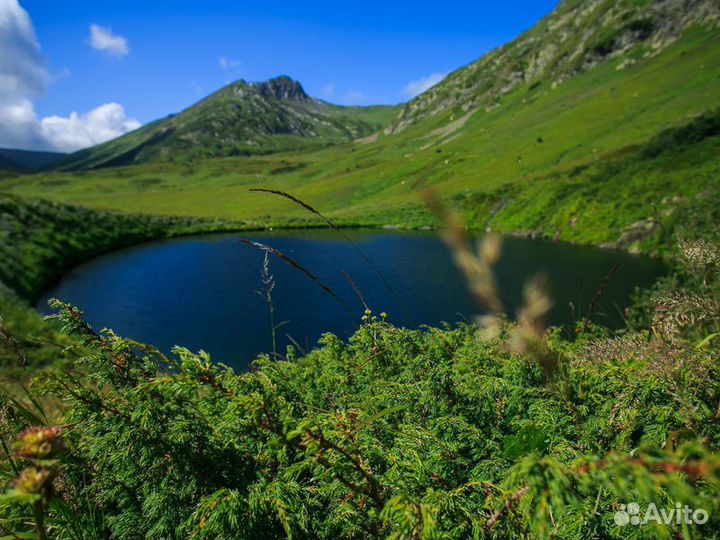 Экскурсия — Сочи — Ночь в отеле 1000 звезд, или По