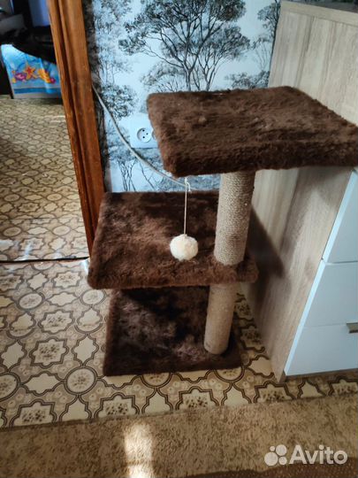 Когтеточка