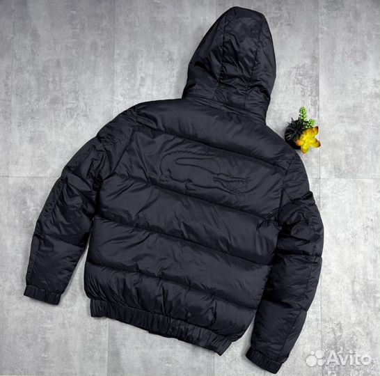 Зимние куртки Lacoste Lux