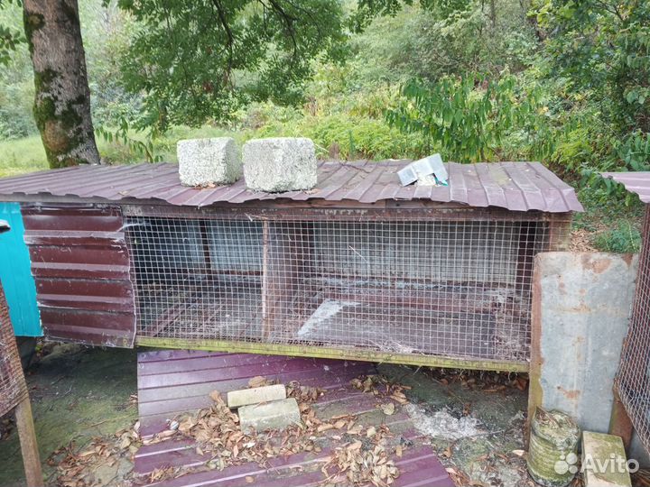 Клетка для грызунов бу