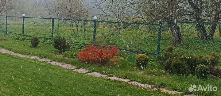 Сетка рабица пвх