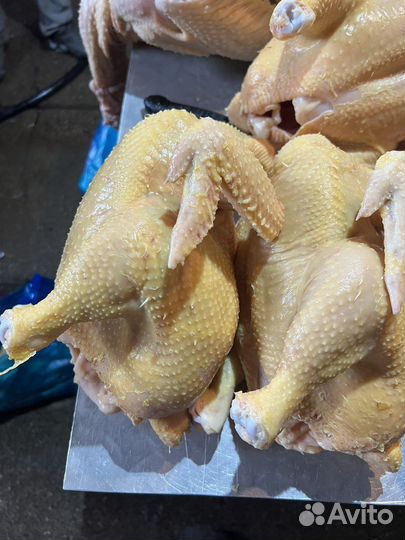 Куры бройлеры тушки