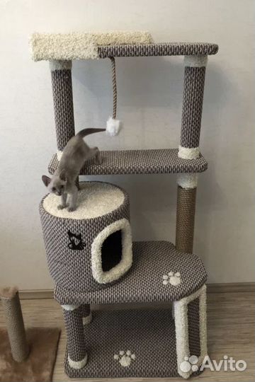 Кошкин кот-дом
