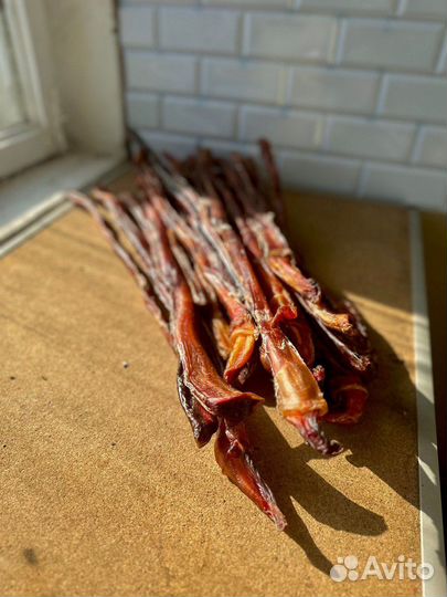 Бычий корень оптом