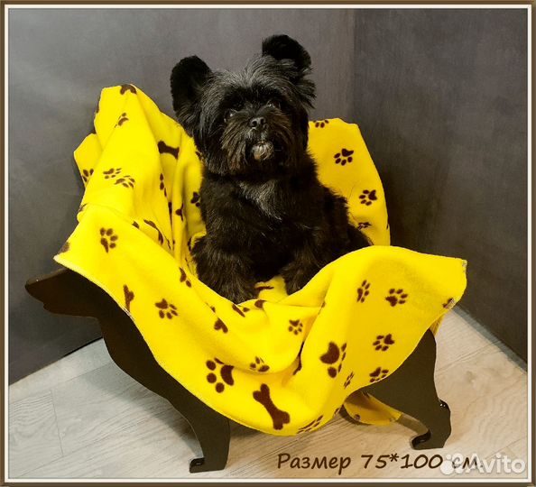 Одежда для собак