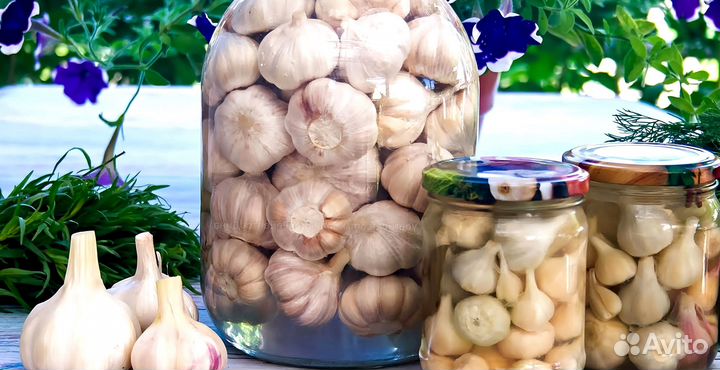 Маринованный чеснок оптом с доставкой