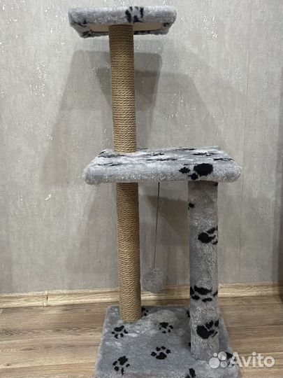 Когтеточка