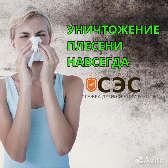 Обработка от плесени и грибка