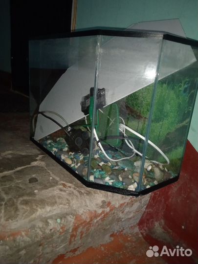 Аквариум