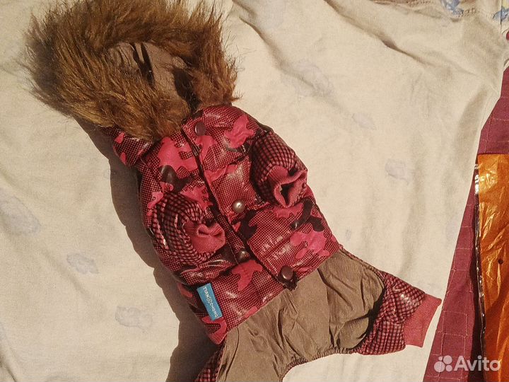 Комбинезоны для собаки