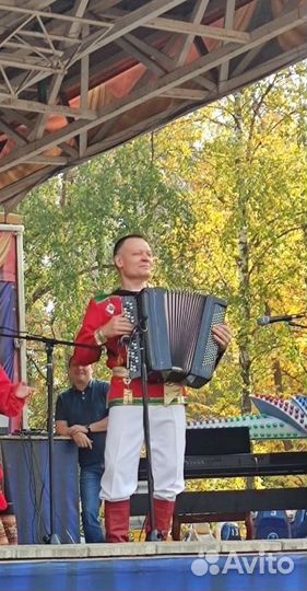 Баянист на праздник