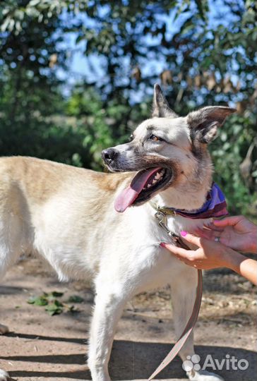 Нежная девочка