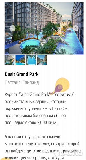 Отдых 2 недели Oasis Holiday