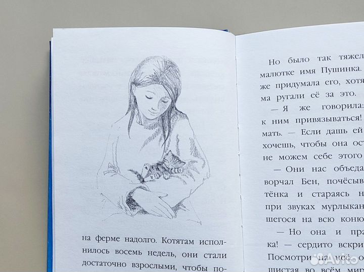 Детская книга Котёнок Пушинка Холли Вебб