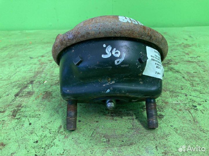 Торм камера MAN TGA