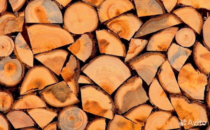 Дрова в СПБ