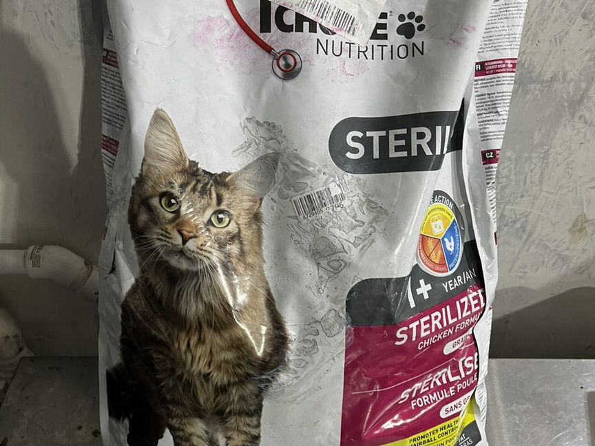 1st choice Sterilized Сухой корм для кошек