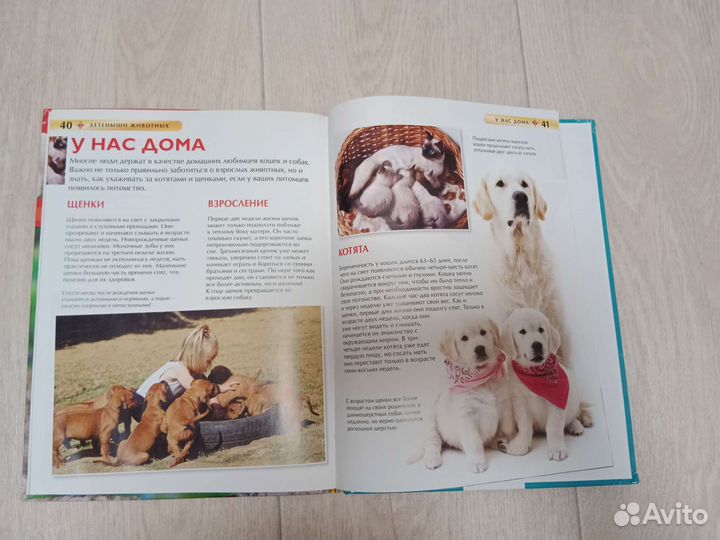 Детская Энциклопедия