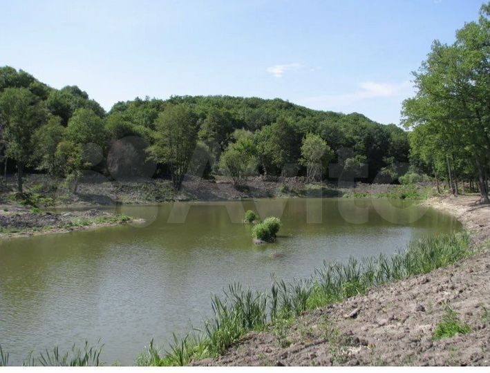 Участок 14 сот. (СНТ, ДНП)