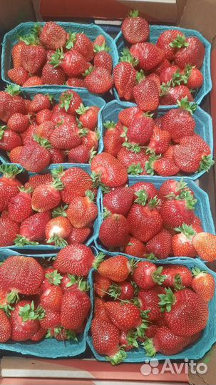 Клубника доставка