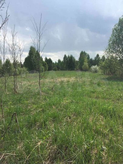 Участок 10 сот. (ИЖС)