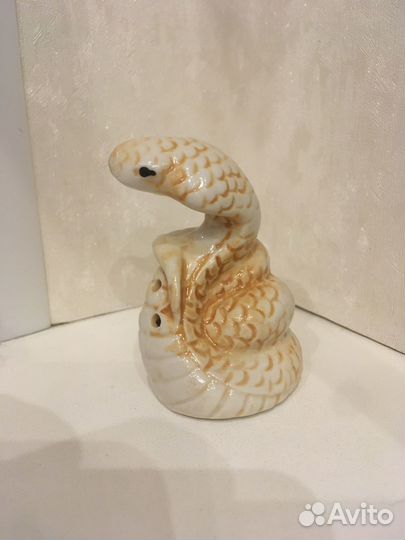 Сольница змейка