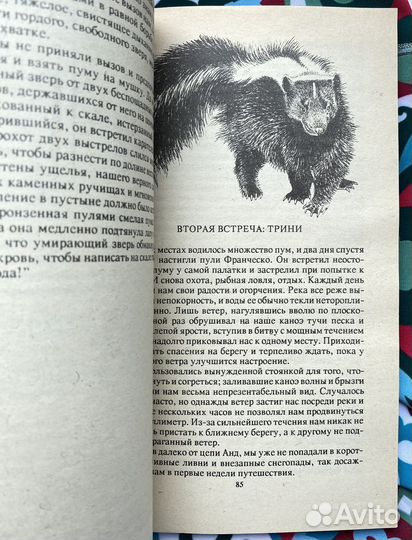 Трампеадор / Антонио Арлетти