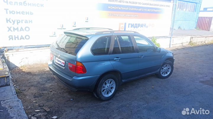 Уплотнитель стекла двери заднего левого BMW X5 (E53) 51348402631. Внутренний