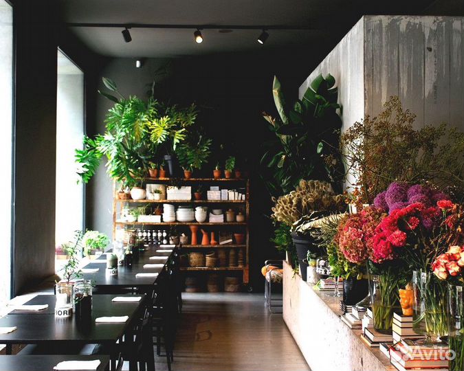 Готовый бизнес. Тропическая кофейня