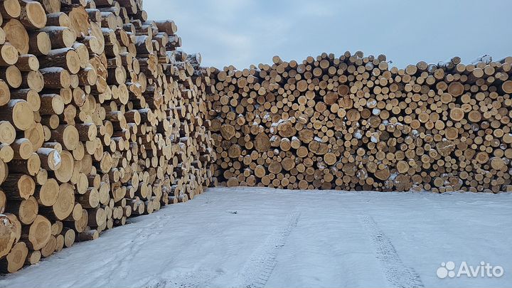 Лес кругляк лиственница