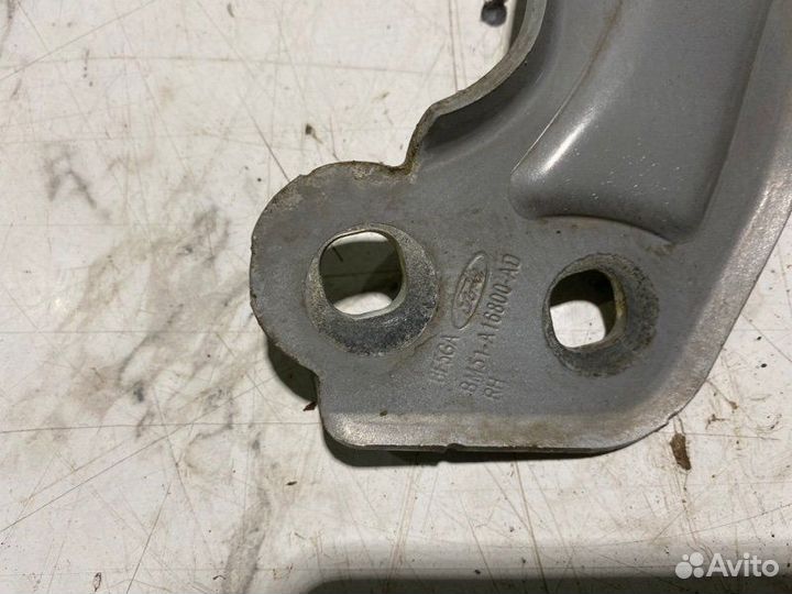 Петля капота Ford Focus pnda 2014