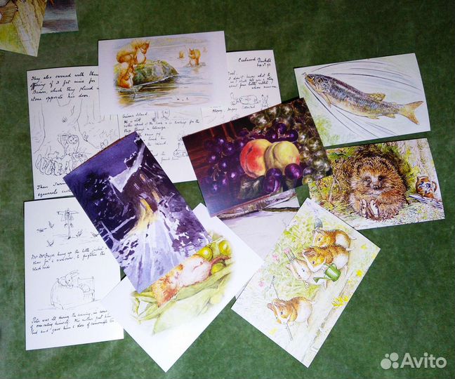 Открытка Beatrix Potter The World of Peter Rabbit