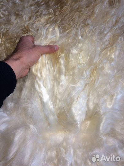 Шкура козы ламы