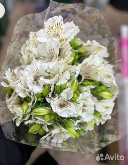 Альстромерия срез