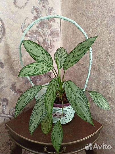 Корзина для цветов