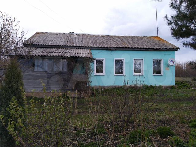 Погода в кочетовке тамбовская область. Село Кочетовка Мичуринский район. Кочетовка Тамбовская область Мичуринский. Деревня Кочетовка Тамбовская область. Тамбовск обл село Кочетовка.