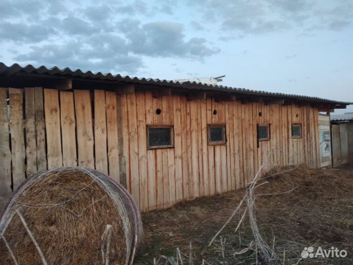 Продам сарай