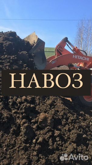 Навоз (коровий)