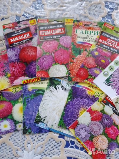 Рассада овощей и цветов