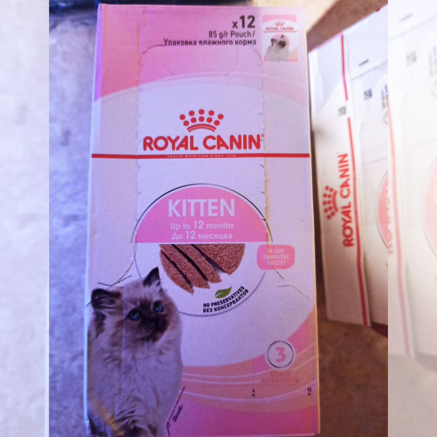 Влажный корм для кошек royal canin