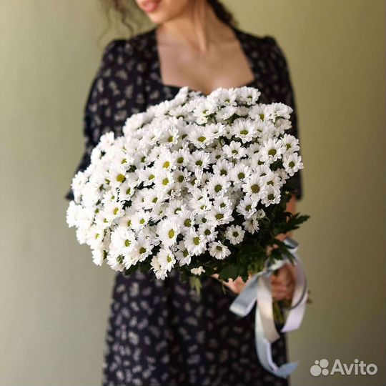 Хризантема Цветы Доставка