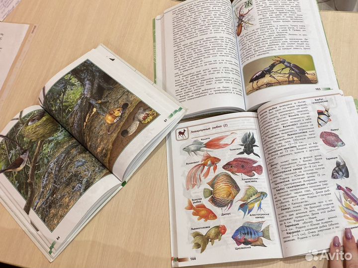 Книга для учащихся начальных классов