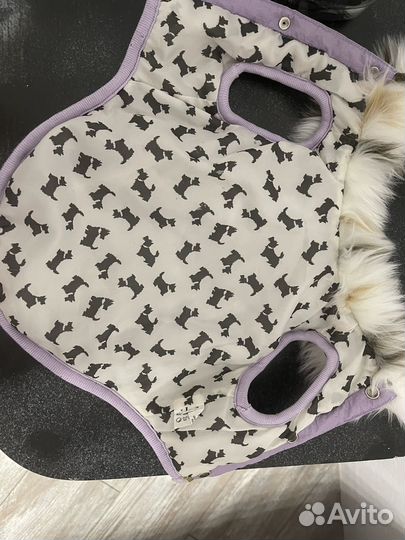 Вещи для маленьких собак