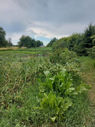 Дом 91,9 м² на участке 43 сот.