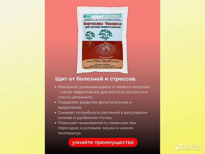 Кормилица Микориза для растений