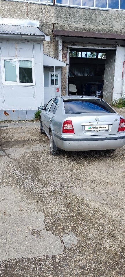 Skoda Octavia: фото владельца