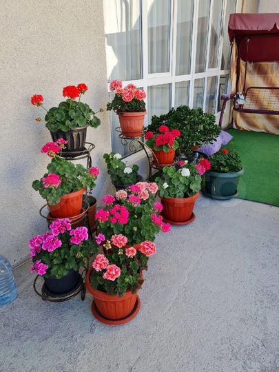 Комната 25 м², 3/3 эт.