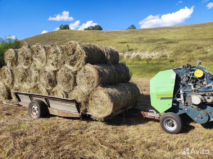 Сено в мини рулонах 70х80 см